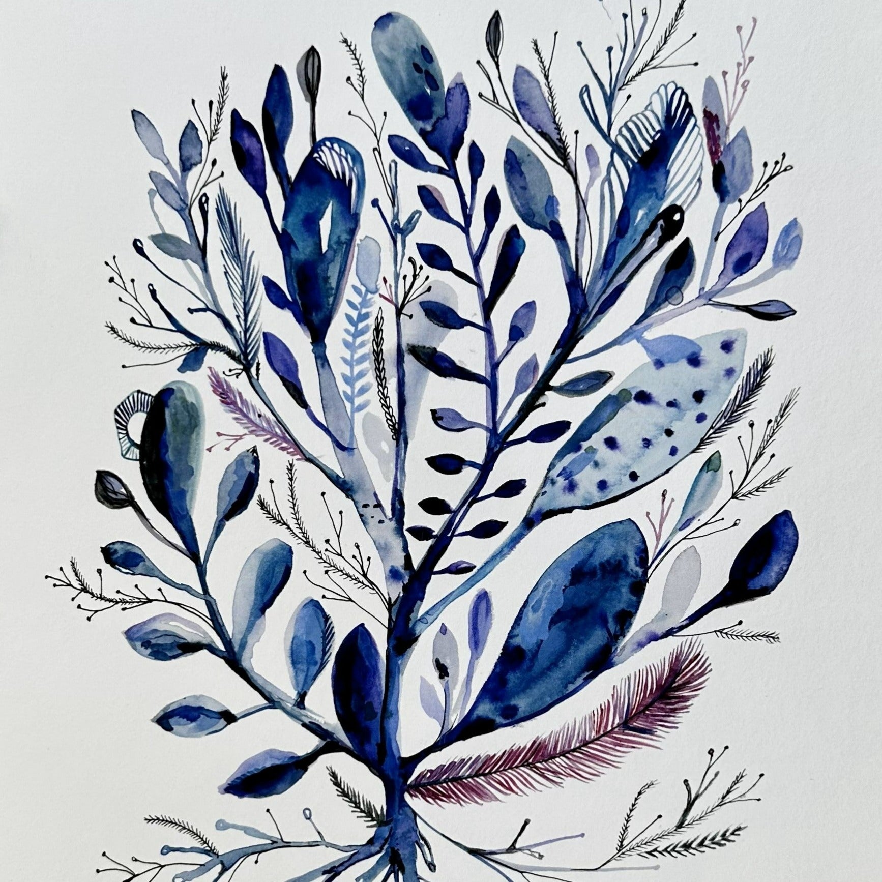 'Violet Light' Print by Katherine Wheeler - Tribe Castlemaine