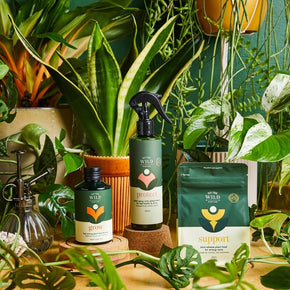 We the Wild Plant Care Range - Tribe Castlemaine