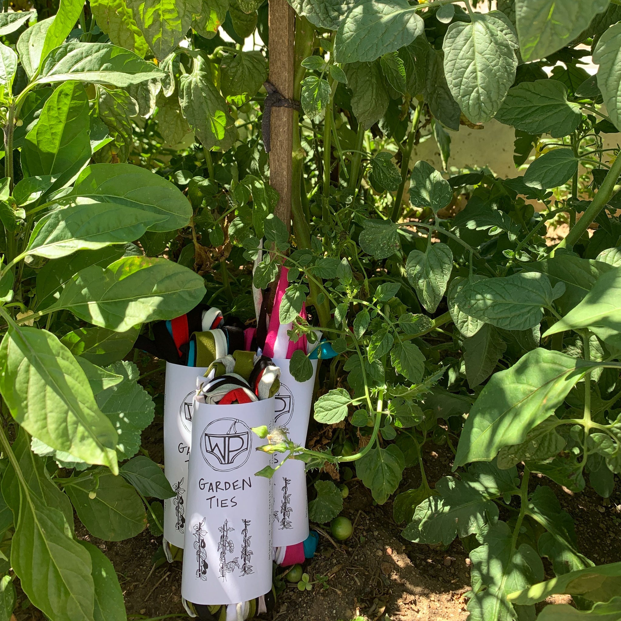 Wonderpants Garden Ties - Tribe Castlemaine