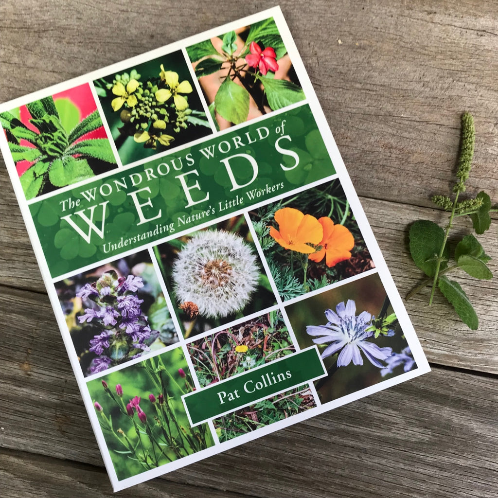 Wondrous World of Weeds Book by Pat Collins - Tribe Castlemaine