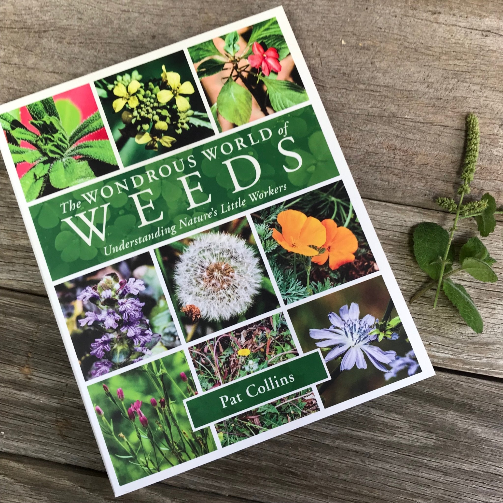 Wondrous World of Weeds Book by Pat Collins - Tribe Castlemaine