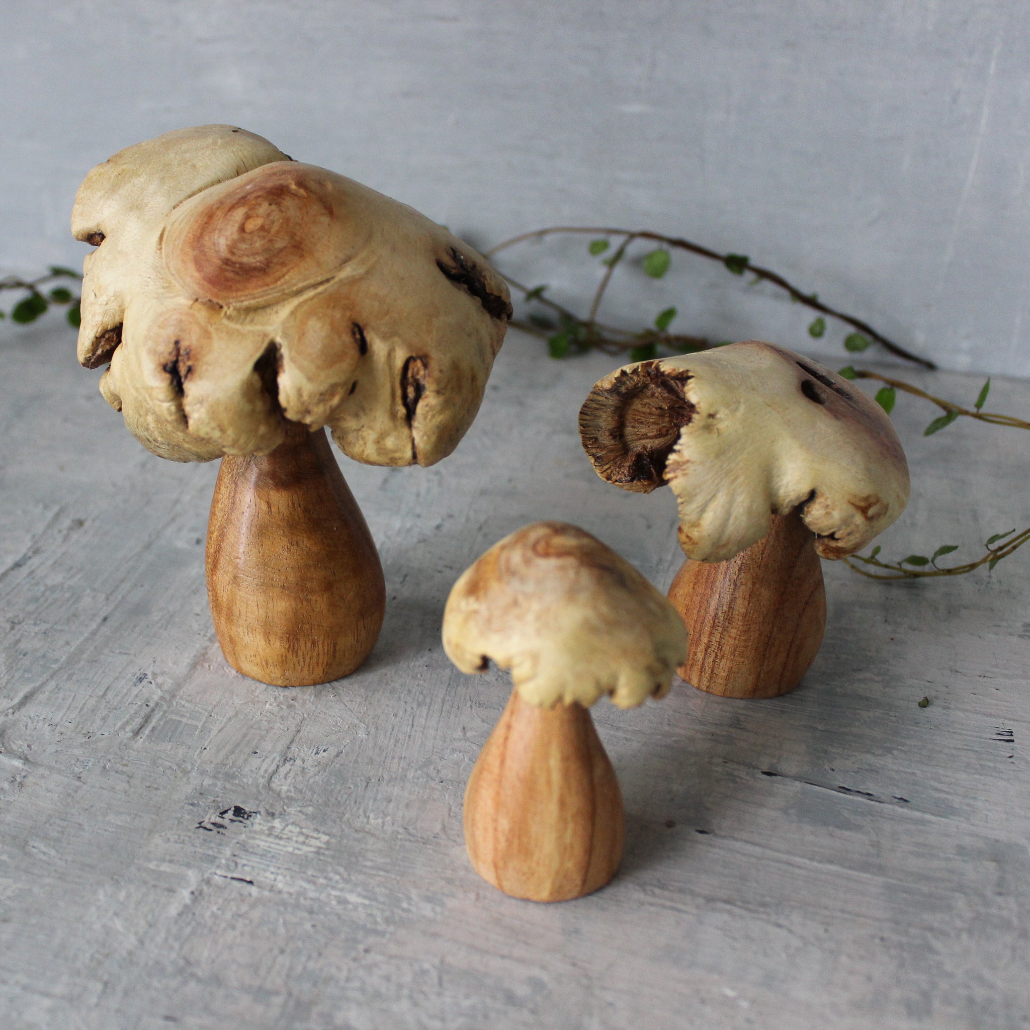 Wood Rose Toadstools - Tribe Castlemaine