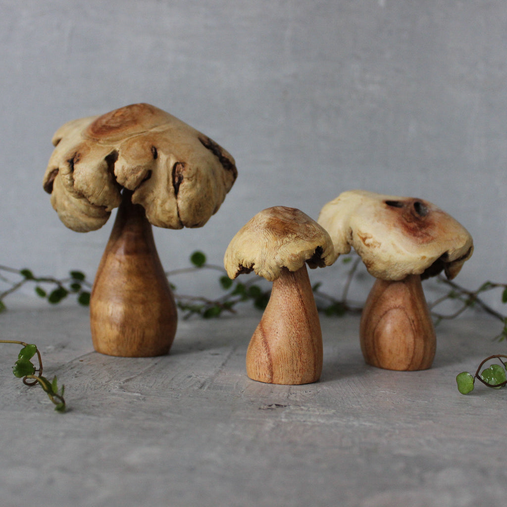 Wood Rose Toadstools - Tribe Castlemaine