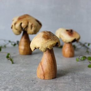 Wood Rose Toadstools - Tribe Castlemaine