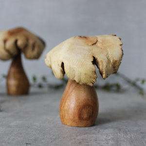 Wood Rose Toadstools - Tribe Castlemaine