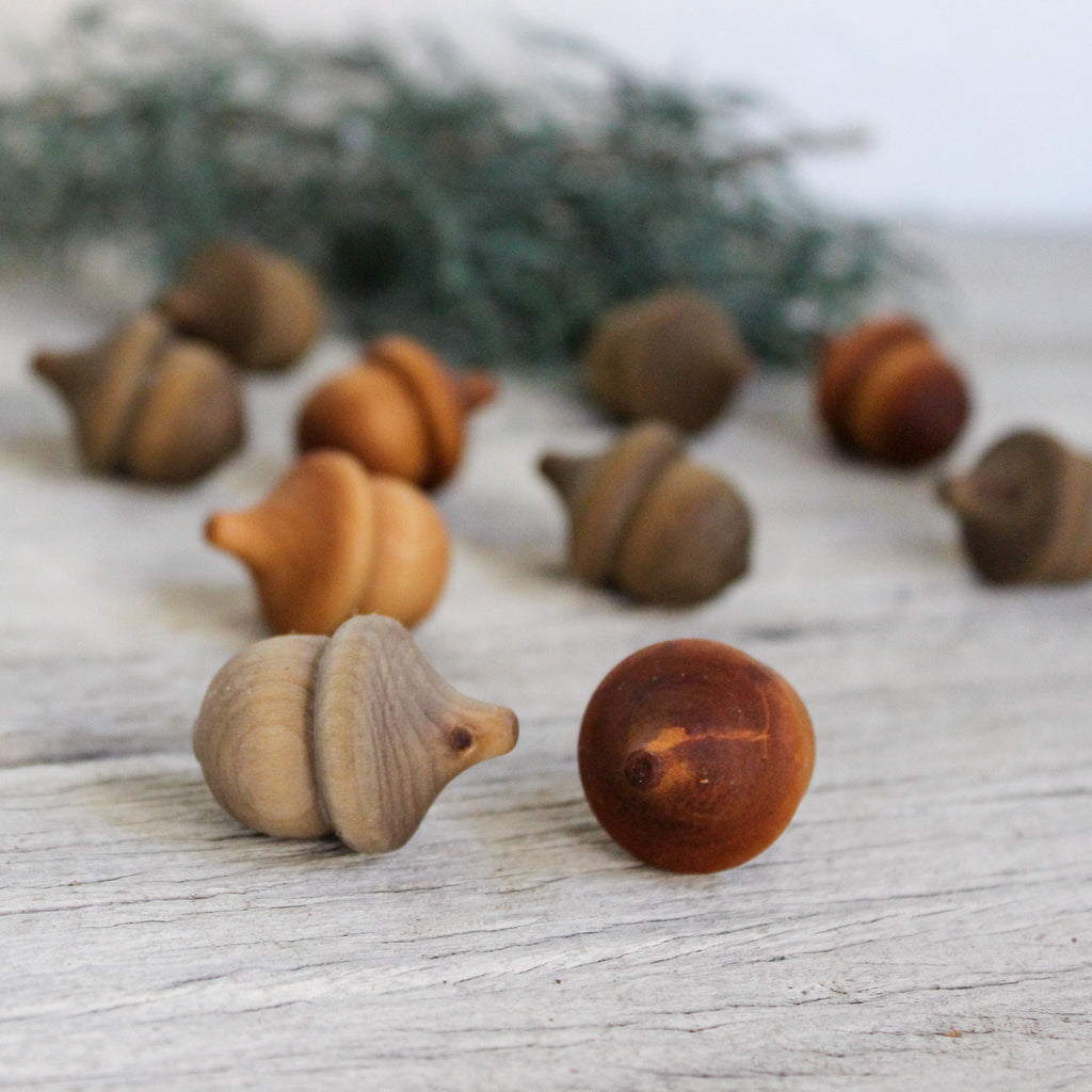 Wooden Acorns - Tribe Castlemaine