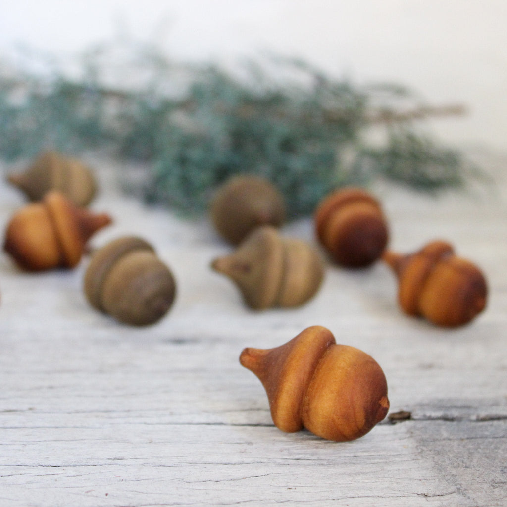 Wooden Acorns - Tribe Castlemaine