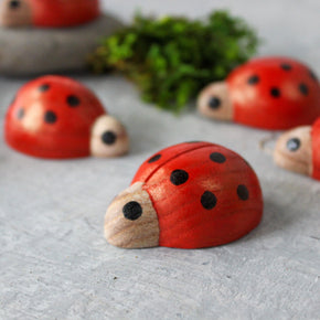 Wooden Ladybirds - Tribe Castlemaine