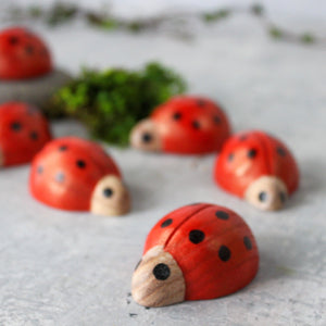 Wooden Ladybirds - Tribe Castlemaine