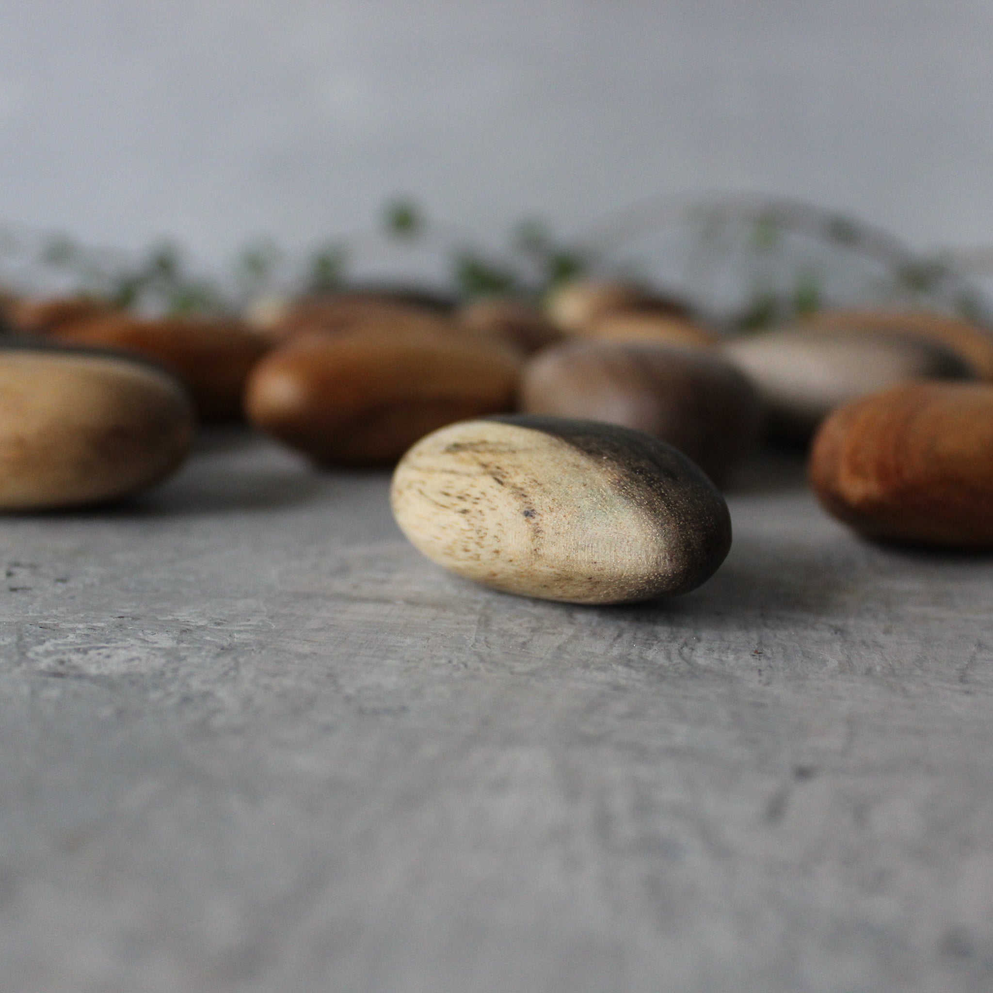 Wooden Stones & Pebbles - Tribe Castlemaine